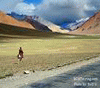 Ladakh, Mountain Ranges, Himalaya, Kashmir